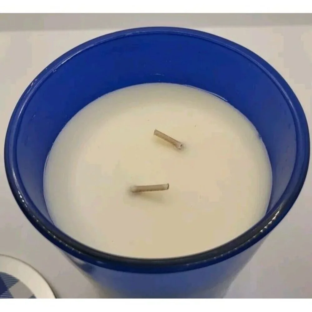 SUN SQUAD - 15oz Jar 2-Wick Citronella Blue Lagoon Candle New‎ - Picture 2 of 4